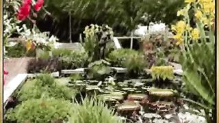 К Тебе Господь взываю я