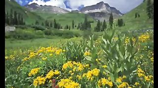 Итальянская полька - мама я Господа люблю