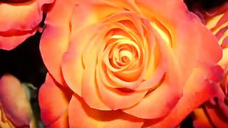 Итальянская полька - мама я Господа люблю