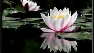 Как тяжко бывает