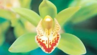 Как хорошо быть братьям вместе