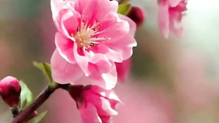 Как хорошо быть братьям вместе