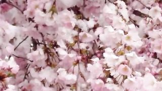 Как хорошо быть братьям вместе