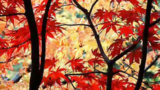 Когда В Твои Слова Вникаю