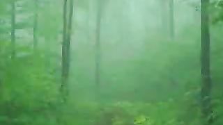 Когда В Твои Слова Вникаю