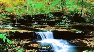 Когда В Твои Слова Вникаю