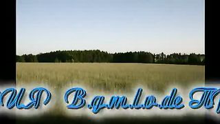 Косари на лугу