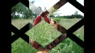 Косари на лугу