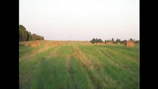 Косари на лугу