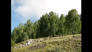 Косари на лугу