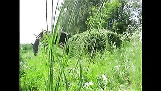 Косари на лугу