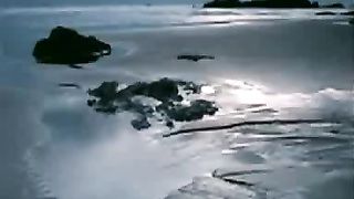 Билык Валерий - Кто собрал все море в ладонь