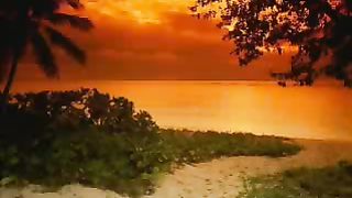 Михаил Михайлов - Завет живым