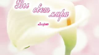 Мой дом на небе