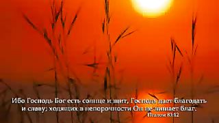 Мой дом на небе