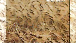 Мой любимый Бог (Ешуа, Царь Израиля)