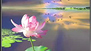 Моя милая мама