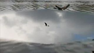 Над бушующим морем