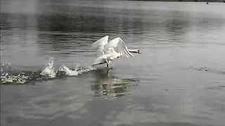 Над бушующим морем