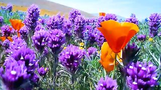 Настанет тот день