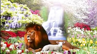 Ната - Вечный край