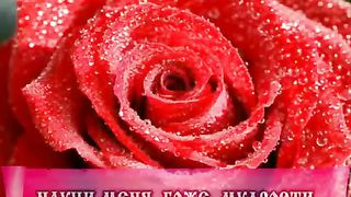 Дарина Кочанжи - Научи меня Боже мудрости