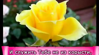 Дарина Кочанжи - Научи меня Боже мудрости