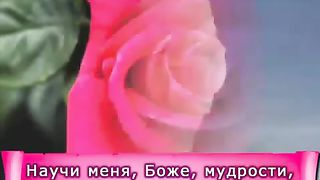Дарина Кочанжи - Научи меня Боже мудрости
