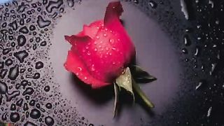 Не грусти улыбайся почаще