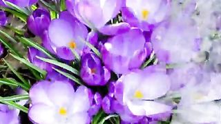 Не грусти улыбайся почаще