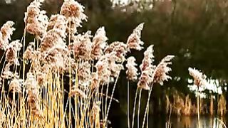 Не спеши грешить (Не спеши за злобу злом воздать)