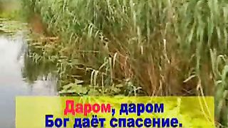 Даром, даром (В нашей жизни самое прекрасное)