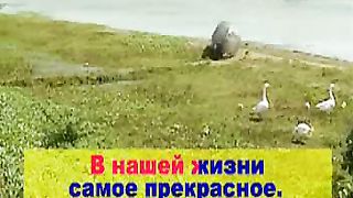 Даром, даром (В нашей жизни самое прекрасное)