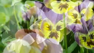 Не позволяй душе лениться