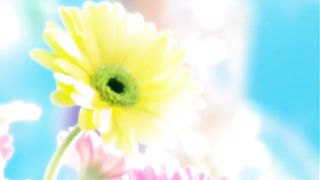 Не позволяй душе лениться