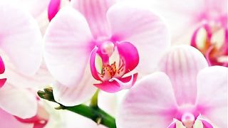 Не позволяй душе лениться