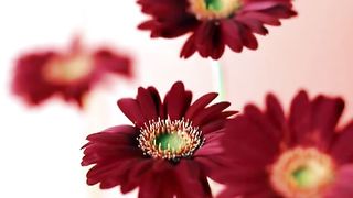 Не позволяй душе лениться