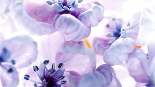 Не позволяй душе лениться