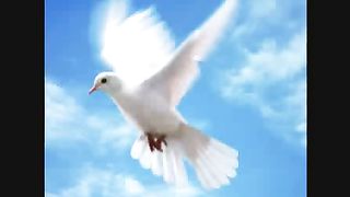 Никогда никого невини