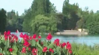 Никогда никого невини