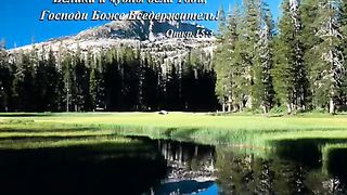 Сей своё семя