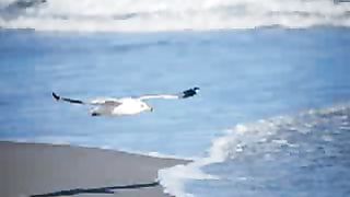 Сердце чистое не плачет