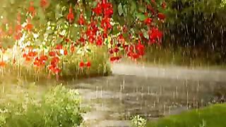 Сердце чистое не плачет