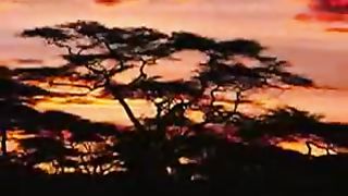 Так давно так давно я люблю тебя давно