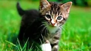 Ты ведь знаешь как я люблю