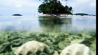 Ты ведь знаешь как я люблю