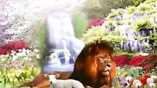 Юность светлая весна ранняя