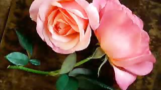 Светлана Копылова - Близнецы