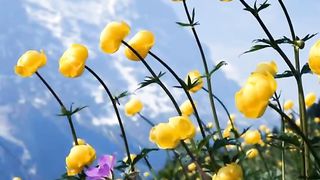 Эту песню в небе ангелы поют