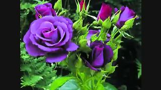 Прекрасна ты планета голубая